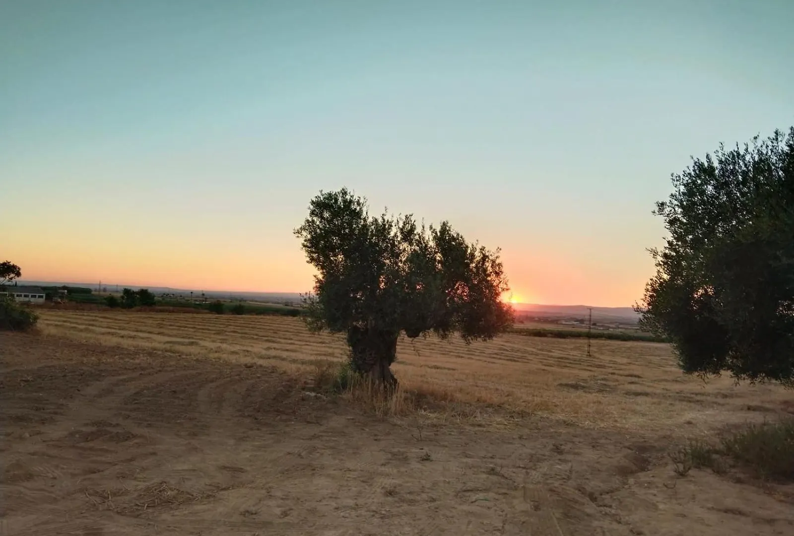 Casa Rural Cerro Campon Carmona  Carmona (Seville)